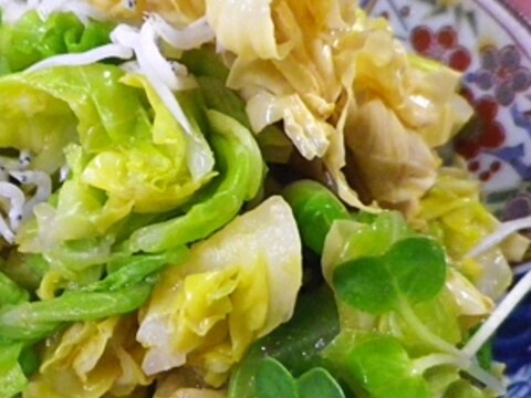 春キャベツ湯葉しらすの辛子醤油